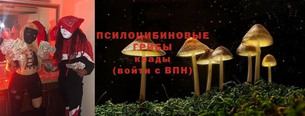 ПСИЛОЦИБИНОВЫЕ ГРИБЫ Козловка