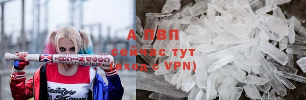 apvp Козельск