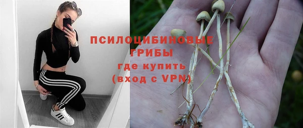 PSILOCYBIN Кострома
