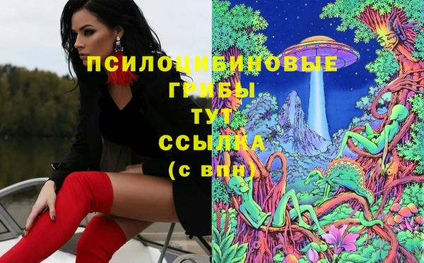 спиды Касимов
