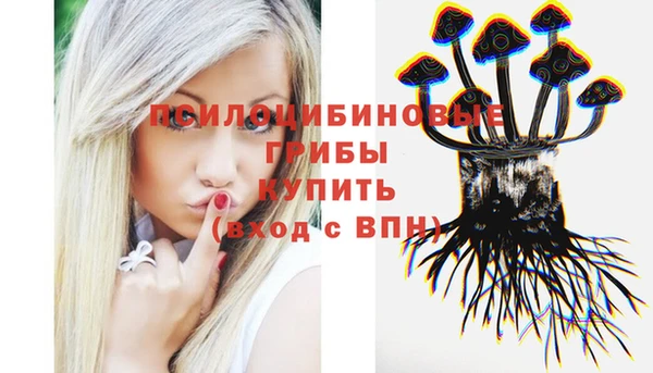 ПСИЛОЦИБИНОВЫЕ ГРИБЫ Козловка