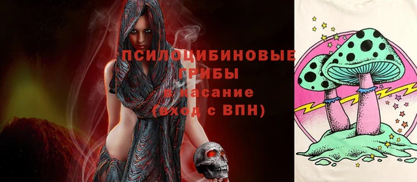 ПСИЛОЦИБИНОВЫЕ ГРИБЫ Козловка