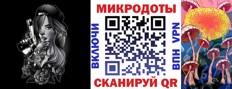 blacksprut вход Луза Галлюциногенные грибы Psilocybine cubensis